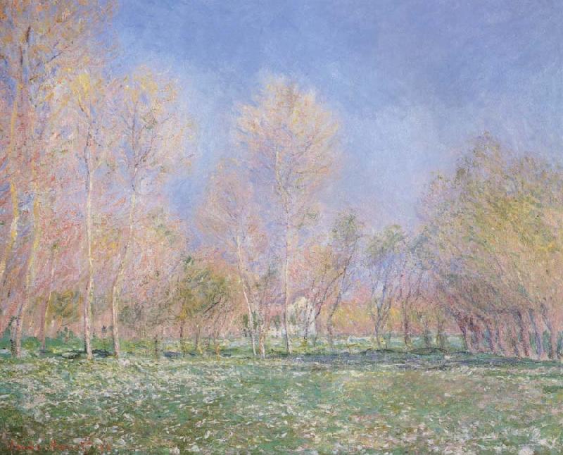 Claude Monet Spring in Giveryny Spain oil painting art